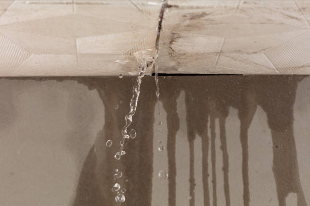 Professional Structural Drying technician working in Higginsport, OH